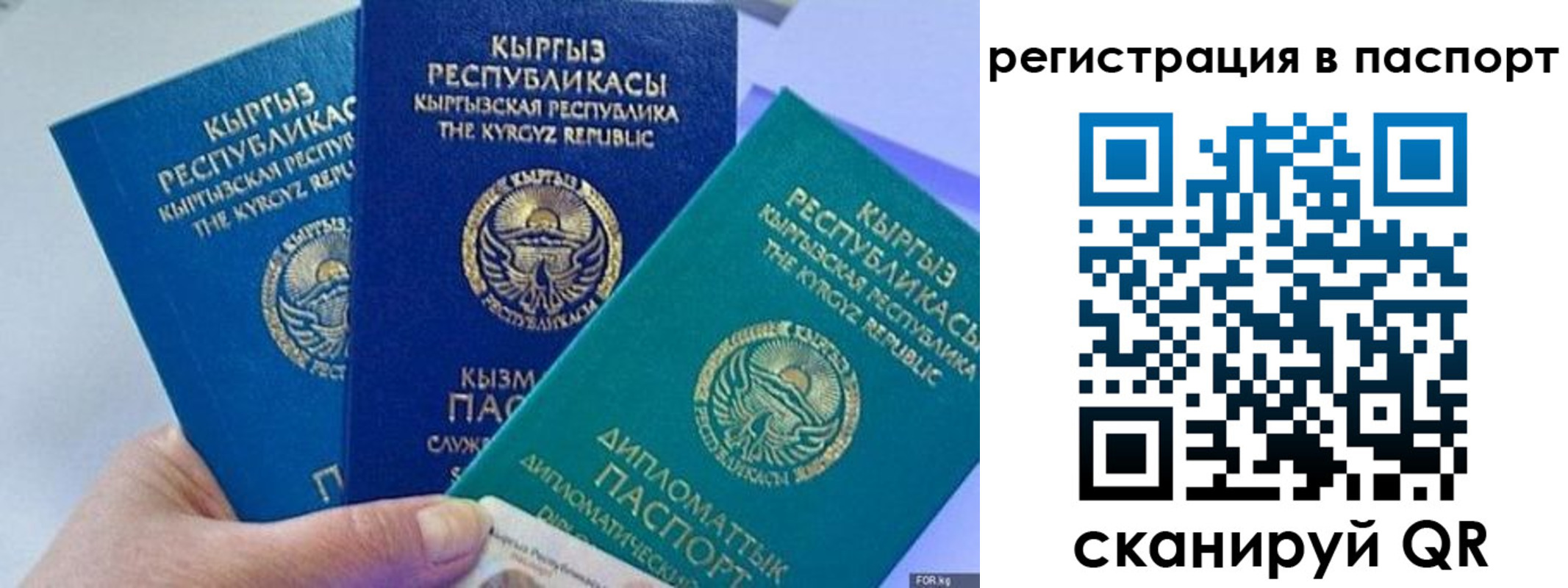 прописка 2025 в Каменке